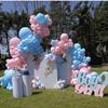 Pink Blue Baby Sex Reveal Balloon Chain Set Boys And Girls Birthday Party Decorative Balloons