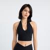 Shockproof Sports Bra Women High Support Workout Top Halter Neck Seamless Yoga Bra Breathable Wirefree Fitness Top Running Gym Activewear