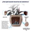 Single Handmade Ceramic Plant Pot (diameter 23 cm), Glossy Beige with Coin Relief, Breathable, Frost-Resistant, with Drainage Holes for Balcony Plants