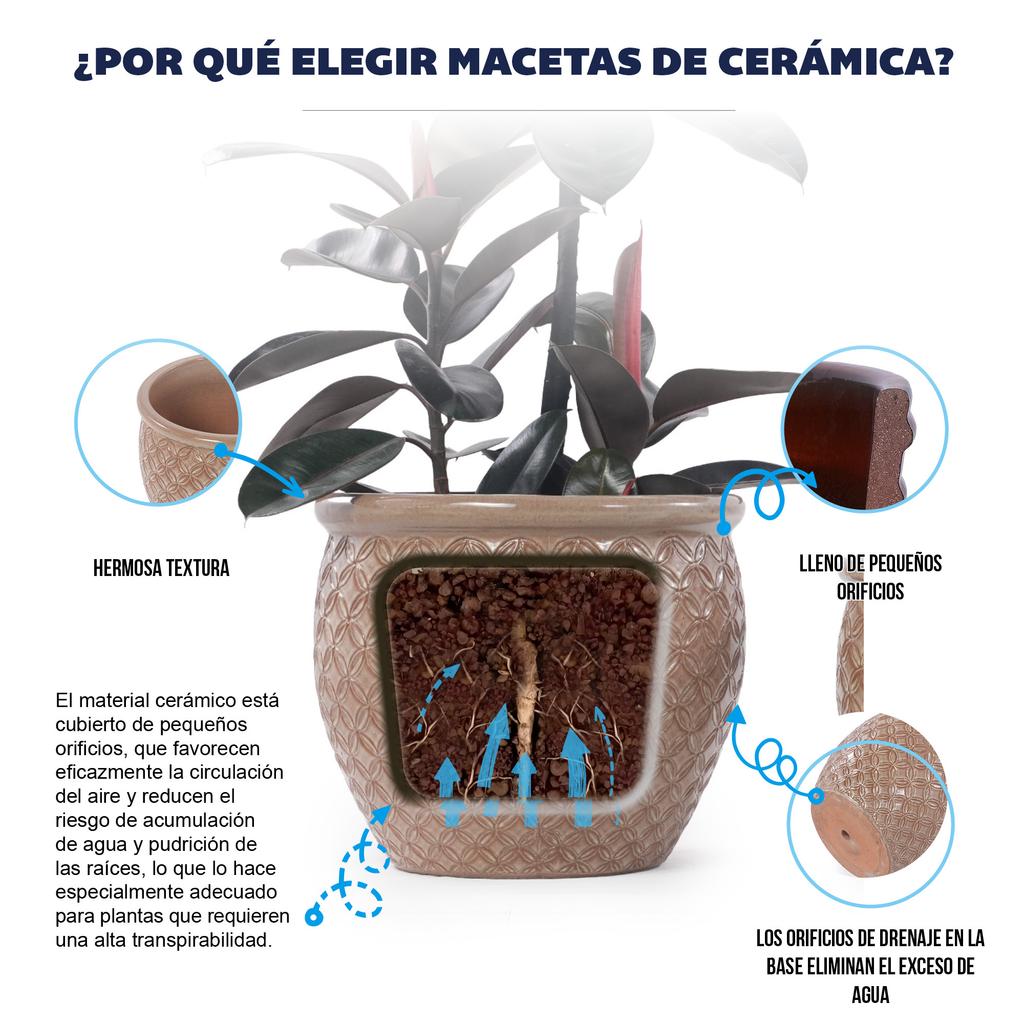 Single Handmade Ceramic Plant Pot (diameter 23 cm), Glossy Beige with Coin Relief, Breathable, Frost-Resistant, with Drainage Holes for Balcony Plants