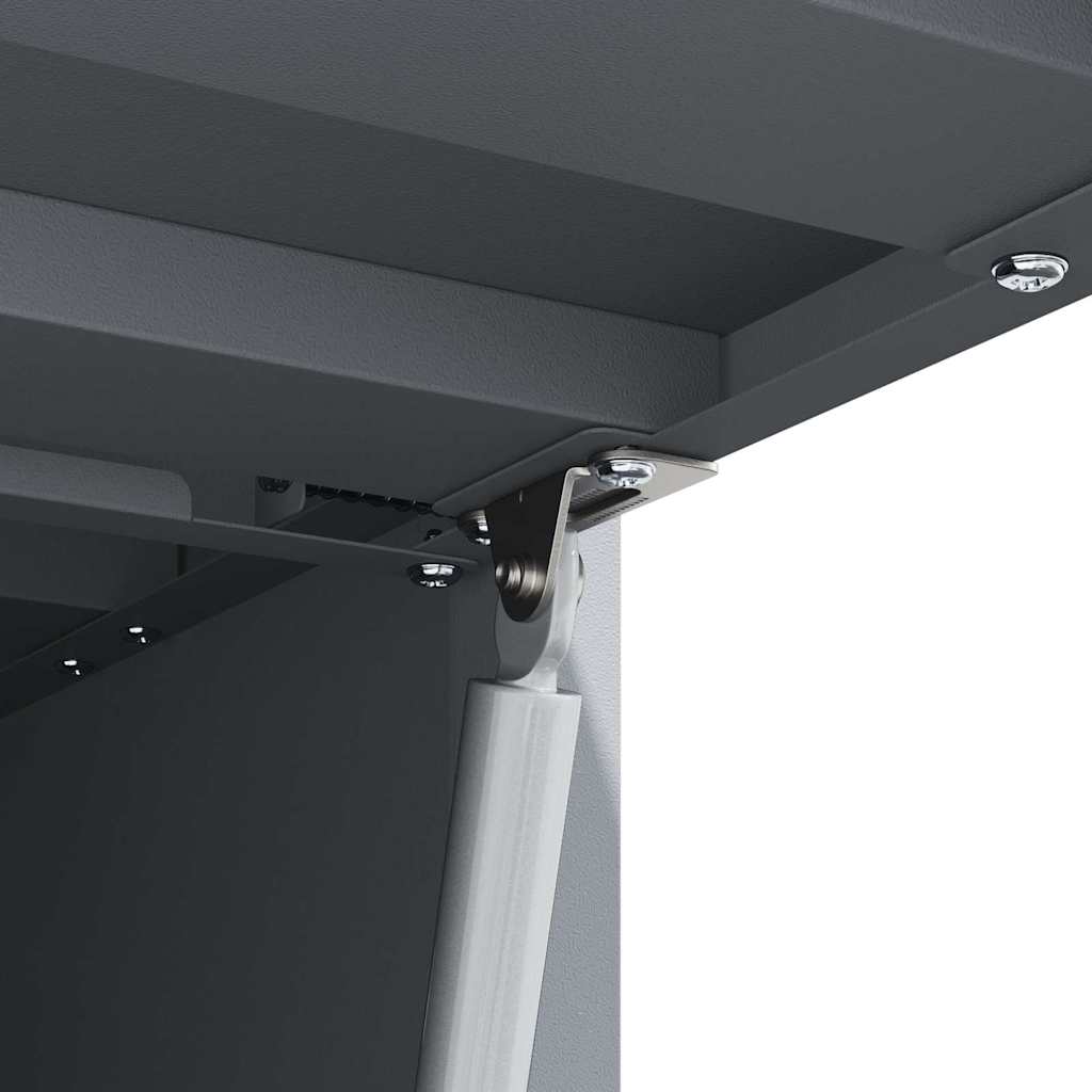 Wall Mounted Garage Cabinet with Gas Spring Door Anthracite