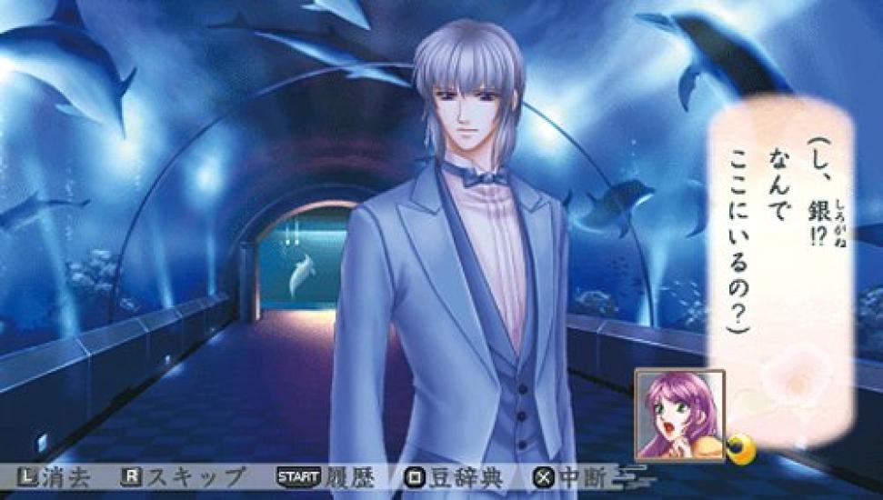 Koei Tecmo the Best Harukanaru Toki no Naka de Fate no Meikyuu Treasured Edition PSP 3 -