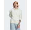 Толстовка adidas Trefoil Graphic Embroidery Hoodie