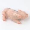 Mini Pig Figure Toy Cute Simulation Soft Silicone Animal Toy Kids Room Decors Reborns Pig Parenting Gift