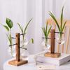 Innovative Hanging Wooden Frame Glass Hydroponic Vase Green Ivy Glass Vase Flower Container Desktop Decoration Ornament