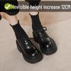 12cm Height Boost Chunky Heel Black Leather Loafers for Women, British Style, Lace-up High Heels for Spring & Autumn