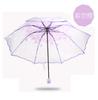 Transparent Summer Flower Folding Umbrella Triple Fold Apollo Cherry Blossom Umbrella