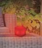 Table Lamp - HQ - RGB - 3W - USB Rechargeable - Outdoor