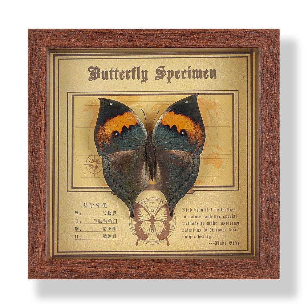 Real butterfly specimen photo frame, decorative painting, 3D ornament, handmade DIY, birthday gift, insect specimen