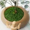Realistische Textur Künstliche Moospflanzen DIY Basteln Simulation Grünes Moos Bonsai