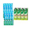 Toothbrush & Jasmine White Tea Toothpaste Set