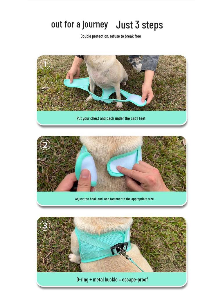 Escape-Proof Cat & Small Dog Harness Leash - Outdoor Walking Rope for Teddy & Bichon Frise