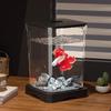 Creative Betta Fish Ecological Desktop Tank with Night Light Decoration.