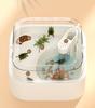 Acrylic Turtle Habitat with Sun Deck - Creative Eco-friendly Tank for Turtles & Fish