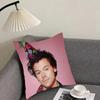 Styles H-Harry Styles British singer Cushion Cover Reversible Plush Pillow Cover – For car, sofa, bedroom, perfect as a gift.