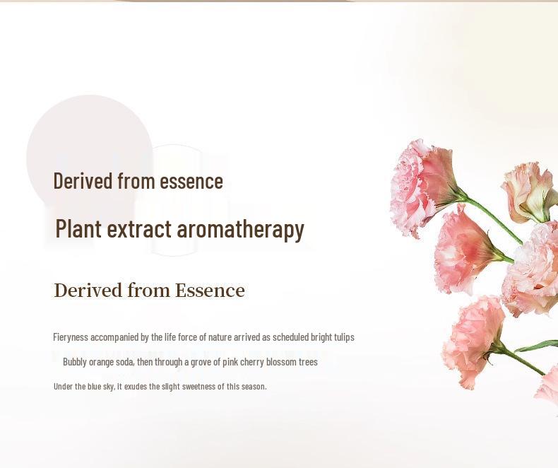 Free Shipping: Bestselling Bathroom Aroma Diffuser with Long-lasting Light Scent