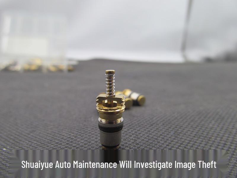 Volvo Fukang Elysee Picasso Citroen Car AC Valve Core