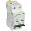 Disjoncteur Miniature - Schneider Electric - A9F74216 - 2P - 16 A - Courbe C - Blanc