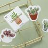 45 Sheets Succulent Green Plant Stickers, Fresh Healing Journal Decor, Potted Plant DIY Collage Material