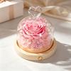 Caja de Regalo Flor Eterna Rosa Terminada Cubierta de Cristal Amor Rosa Flor Eterna Caja de Regalo Terminada Floral Regalo Punto