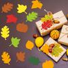 Geyee 216 Pcs Fall Bulletin Board Decorations Fall Leaves Pumpkin Acorns Cutouts Colorful Autumn Paper Cut Outs for Kids School Classroom Bulletin
