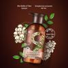 Feng Hua Plant Extract Anti-Hair Loss Shampoo