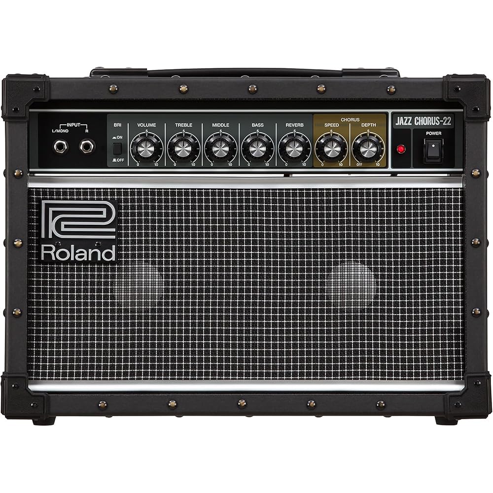 Roland/JC-22 Roland Guitar Amp Jazz Chorus 30W