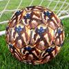 Transformers Size 5 Football Machine-Stitched Indoor/Outdoor Training and Matches Surprise Collection Gift Luxury Gift for Birthday Christmas Wedding