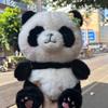 Fluffy Panda Plush Toy with Flower Decoration, 28x20cm, Kids' Toy, Birthday Gift, Christmas Decor, Ornament