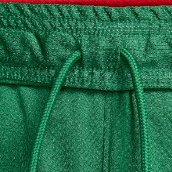 Nike Portugal Stadium Home Sports Shorts Men's Pine Green FJ4298-302
