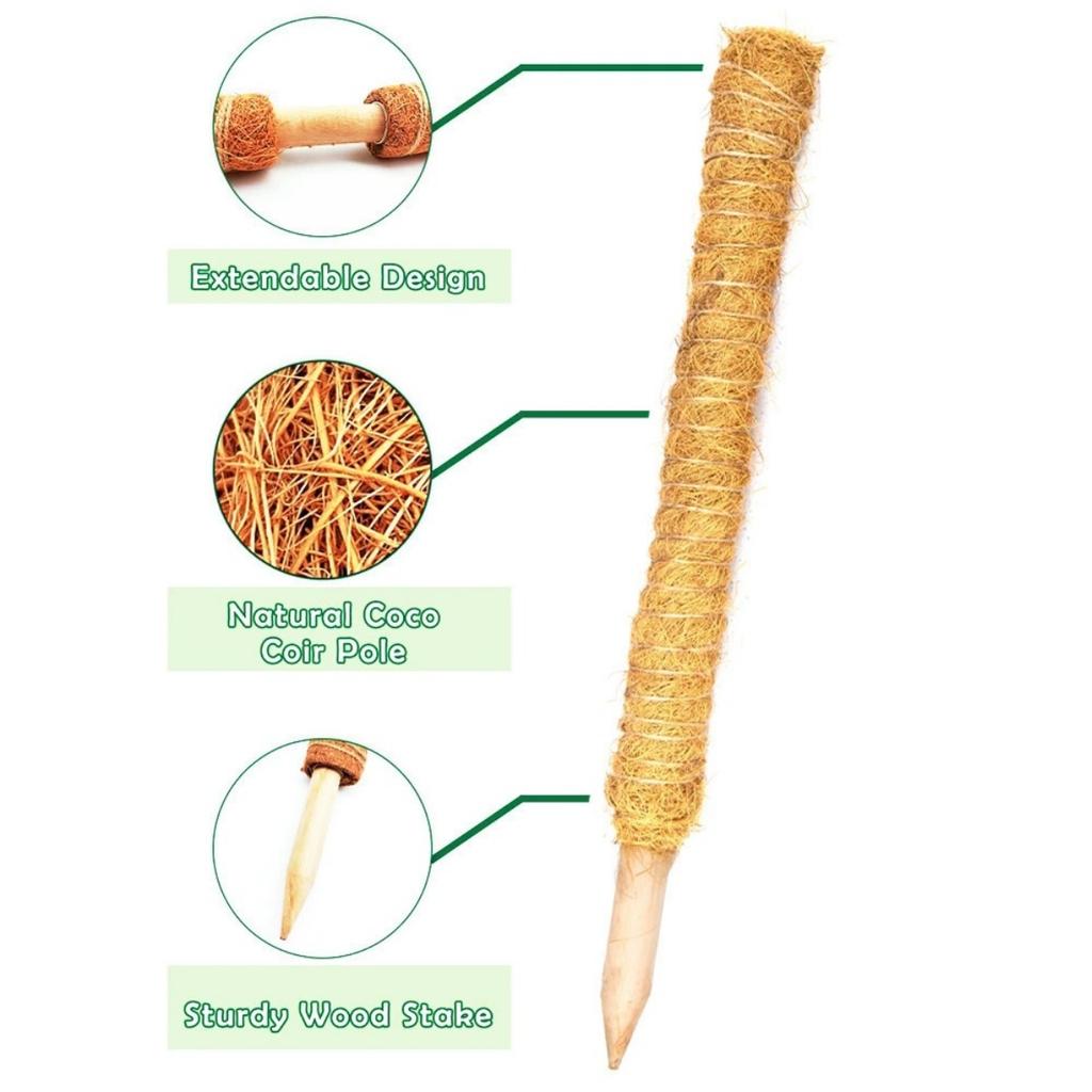 Moss Stick Plant Pole Monstera 30cm for Climbing Plants Coir Totem Plant Support for Indoor Potted Plants Train Creeper Plants Grow Upwards