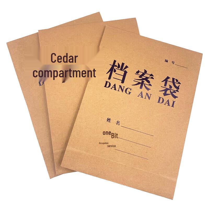 Kraft Paper A4 Document Storage Bags