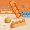Camellia Spherical Ice Ball Maker