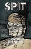 SPIT by David Brennan Paperback Book 9781068716218