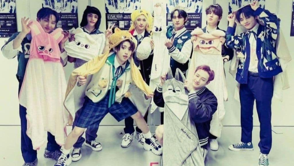 [USED] Limited-time Stray Kids POPUP STORE SKZOO Blanket