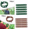 100 Pieces Plant Clips Vines Fixing Clips Plant Growth Clamps Plant Vine Clips for Peppers Cucumbers Roses Tomato Greenhouse