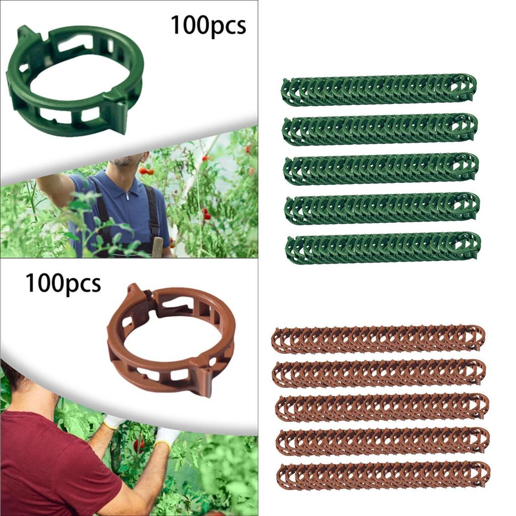 100 Pieces Plant Clips Vines Fixing Clips Plant Growth Clamps Plant Vine Clips for Peppers Cucumbers Roses Tomato Greenhouse
