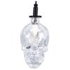 Vintage Wall Lamp Iron Glass Skull Shape Industrial Wall Mounted Light with G9 Bulb for Bedroom Corridor 110‑220V