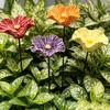 4Pcs Resin Flower Pollinators Cups, Garden Stake Bee Watering Station, Outdoor Small Bird Bath, Yard Art Decor Water Feeder for Hummingbird Butterfly