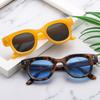 Classic Red Round Sunglasses with Vintage Design Square Frame Customizable Logo Gray or Yellow PC Frame Options