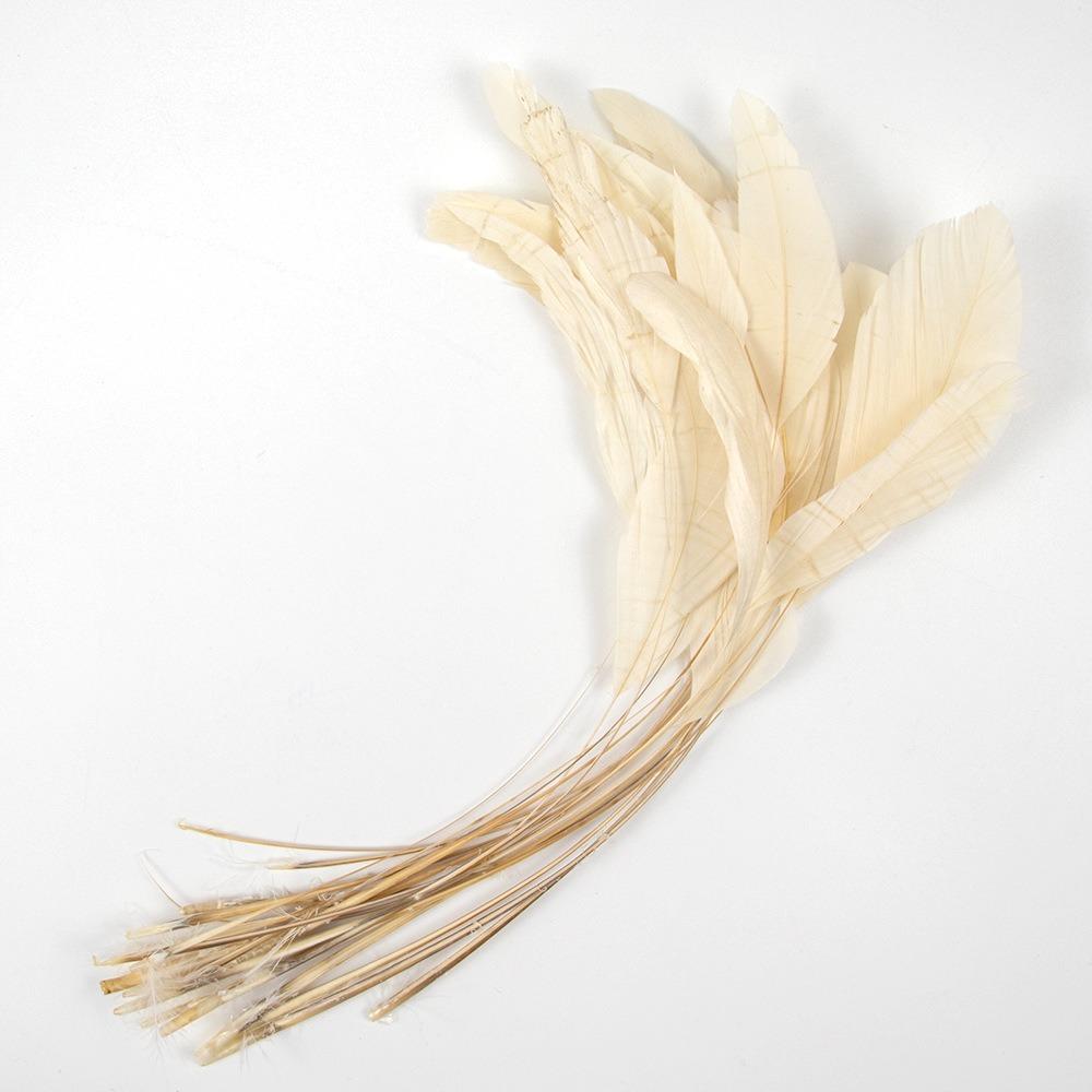 

10Pcs Multicolor Rooster Feather Natural Feather Clothing Accessories Feathers Party Carnival Beige