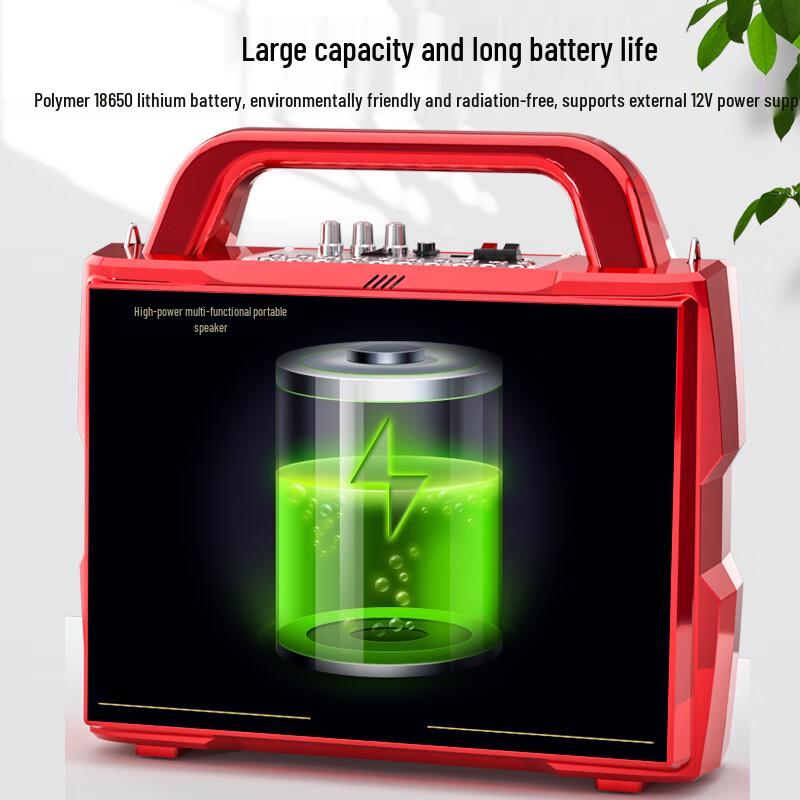 Huabao Portable Karaoke KTV Speaker with Display & Dual Mics