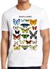 Pappilons Mariposa Mariposas Naturaleza Arte Dibujo Meme Regalo Camiseta T Shirt M624