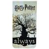 HARRY POTTER Vždy magnetická záložka