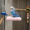 Wear Resistant Pumice Parrot Stand Detachable Claw Grinding Stand Parrot Rack Toy  Training