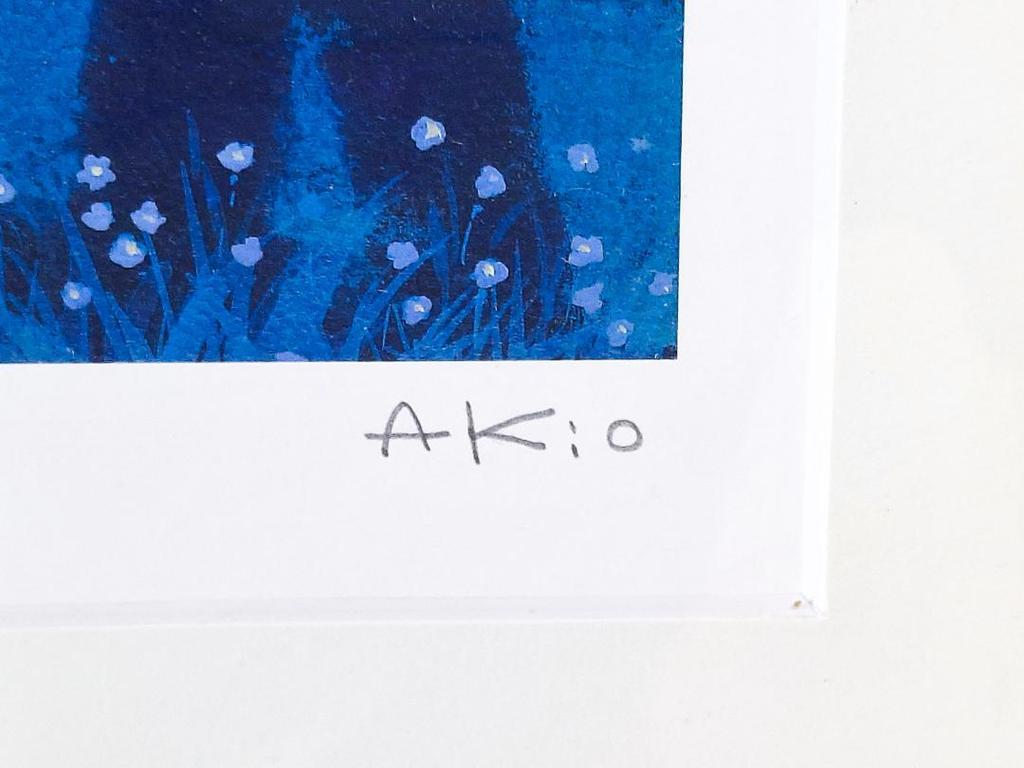 [USED] Akio Watanabe "Together Anytime, Anywhere" 665/800 Diamond Screening