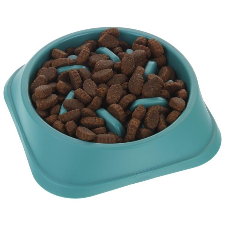 Slow Food Bowl for Dogs and Cats