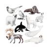 Kids' Arctic Animal Model Set: Polar Bear, Arctic Hare, Reindeer & Beluga Whale