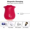 Silicone Vibrator, Nipple Clitoris Anal Stimulation Massager 10 Vibration Modes Unisex Adult Sexy Toys, Sex Toy For Ladies