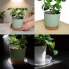Plastic Flower Pot Tray With Pet Material And Dustproof Design For Garden And Home Use